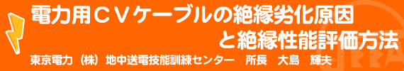 電力用ＣＶケーブルの絶縁劣化原因と絶縁性能評価方法 東京電力（株）地中送電技能訓練センター 所長　大島輝夫
