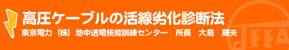 高圧ケーブルの活線劣化診断法 東京電力（株）地中送電技能訓練センター 所長　大島輝夫
